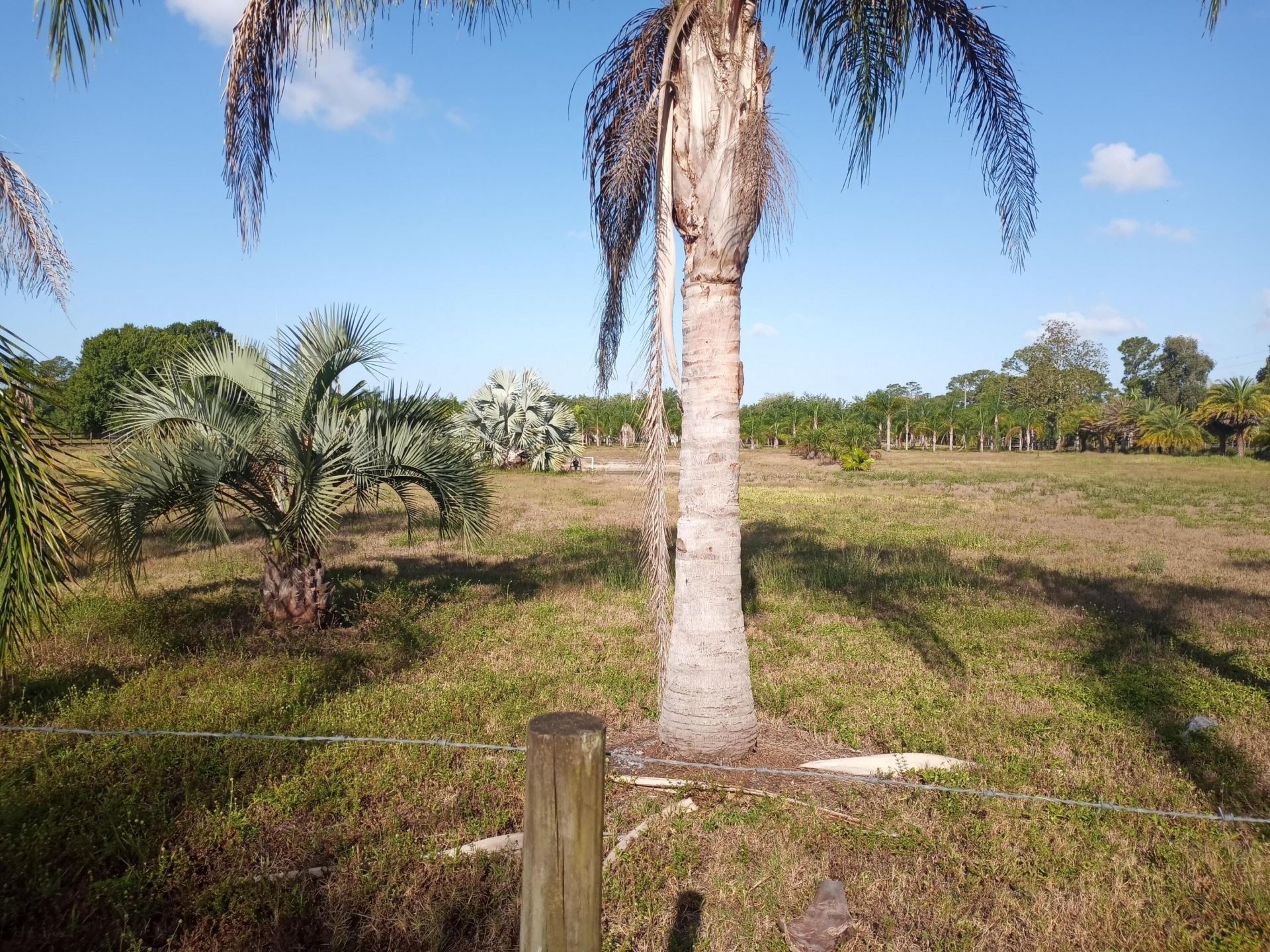 4500 SW Boatramp Avenue, Palm City, FL 34990 Photo