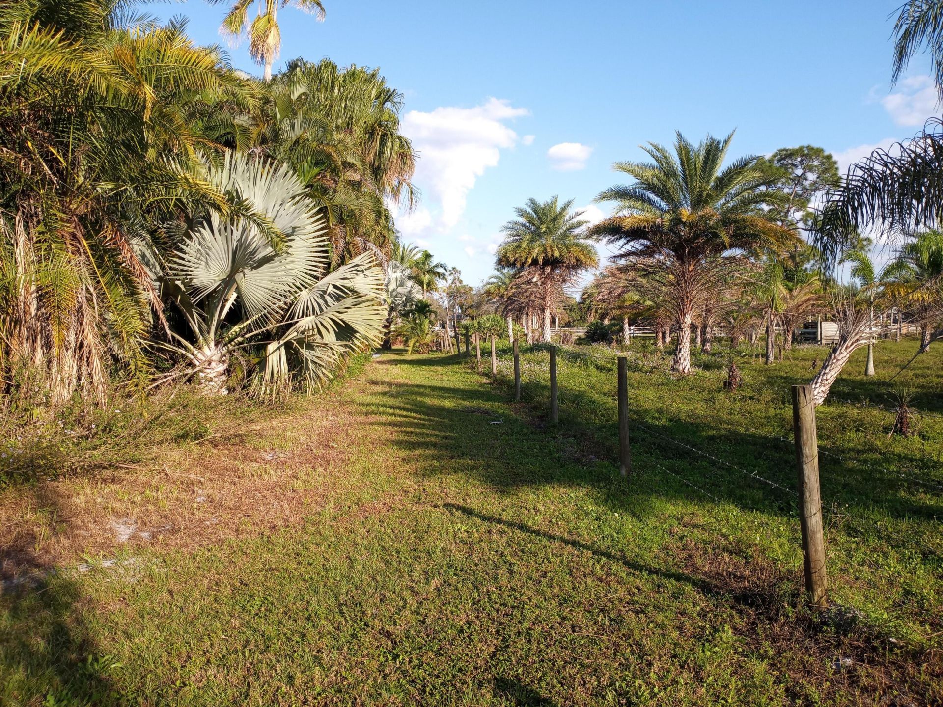 4500 SW Boatramp Avenue, Palm City, FL 34990 Photo