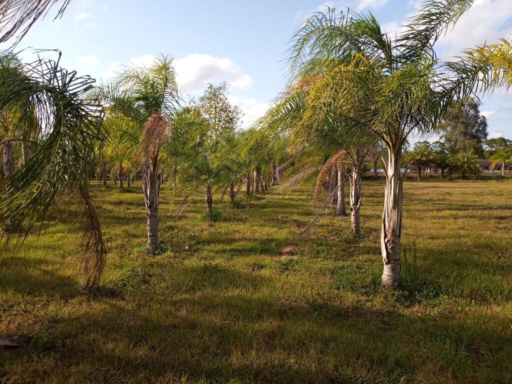 4500 SW Boatramp Avenue, Palm City, FL 34990 Photo