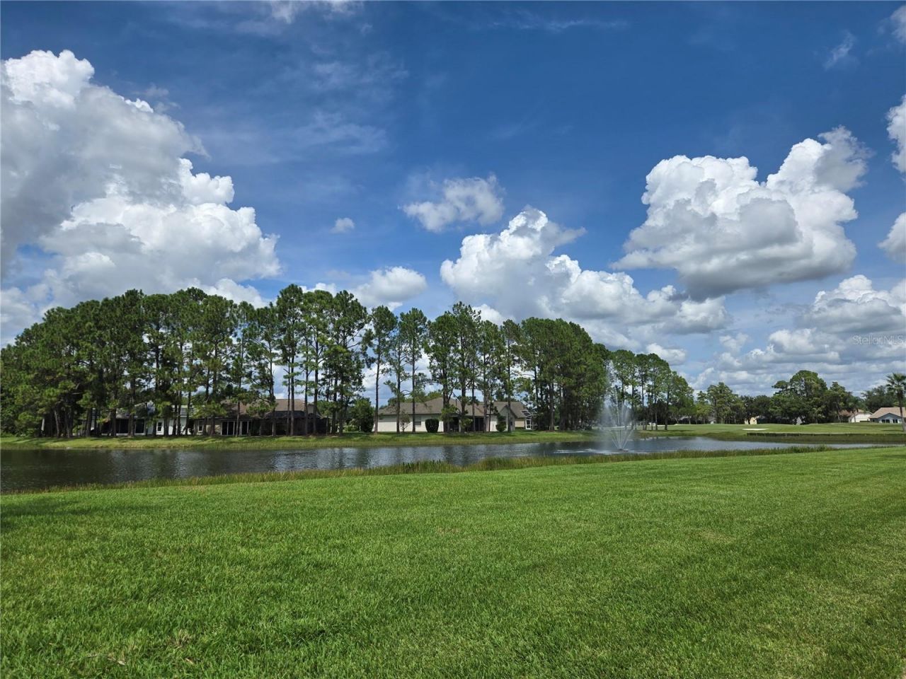 1547 El Pardo Drive, Trinity, FL 34655 Photo