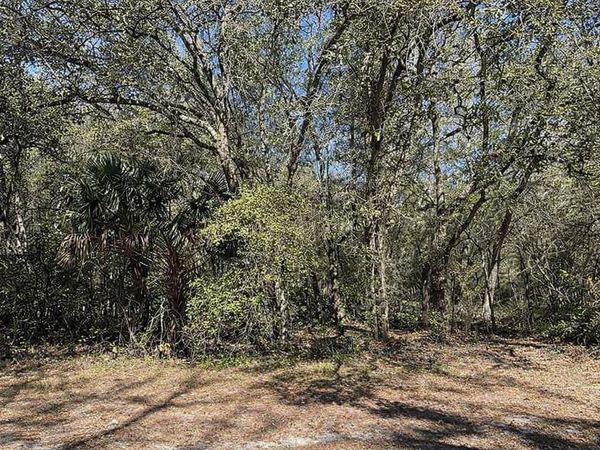 Lot 34,35 block C 18TH ST, ORANGE CITY, FL 32763