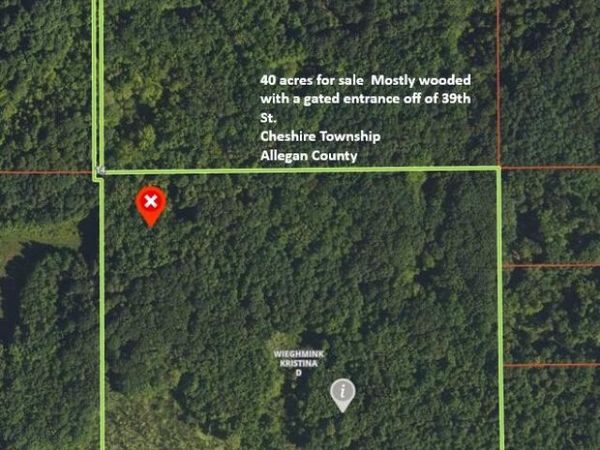 777 39th Street, Allegan, MI 49010