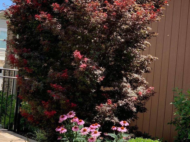 5602 Eventing Way, Unit 18, Hilliard, OH 43026 Photo 57