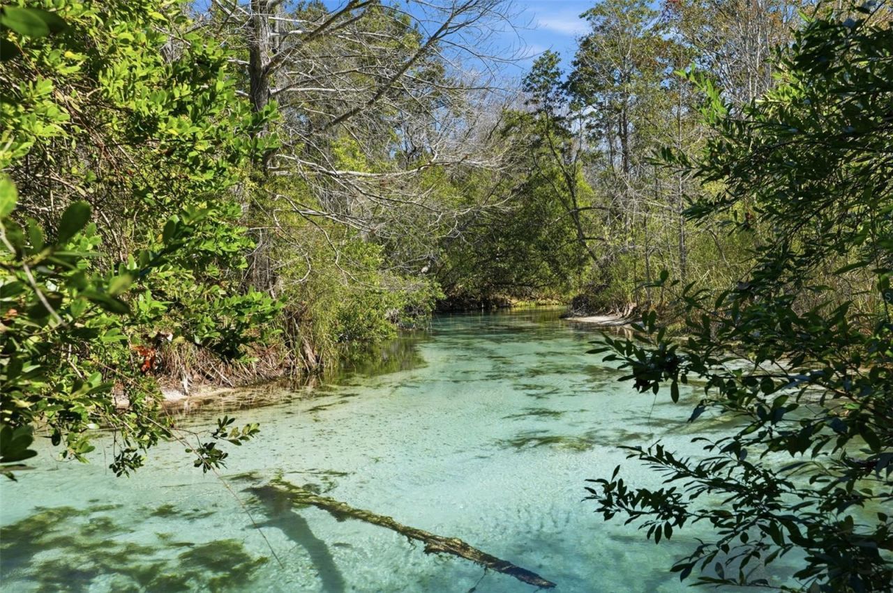 7275 Crystal Spring Run , Weeki Wachee, FL 34607 Photo