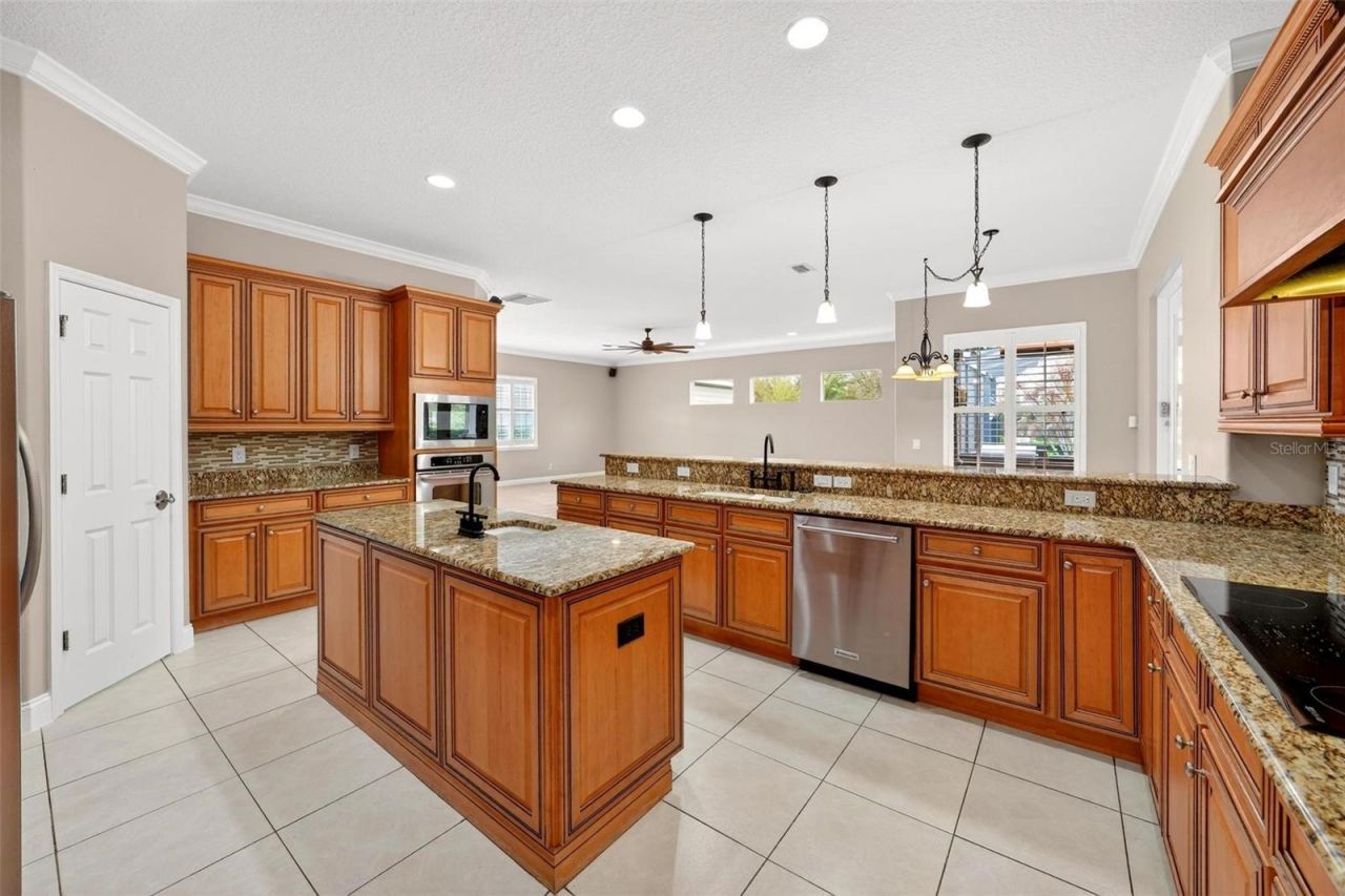 4520 Claire Rose Court, Mount Dora, FL 32757 Photo