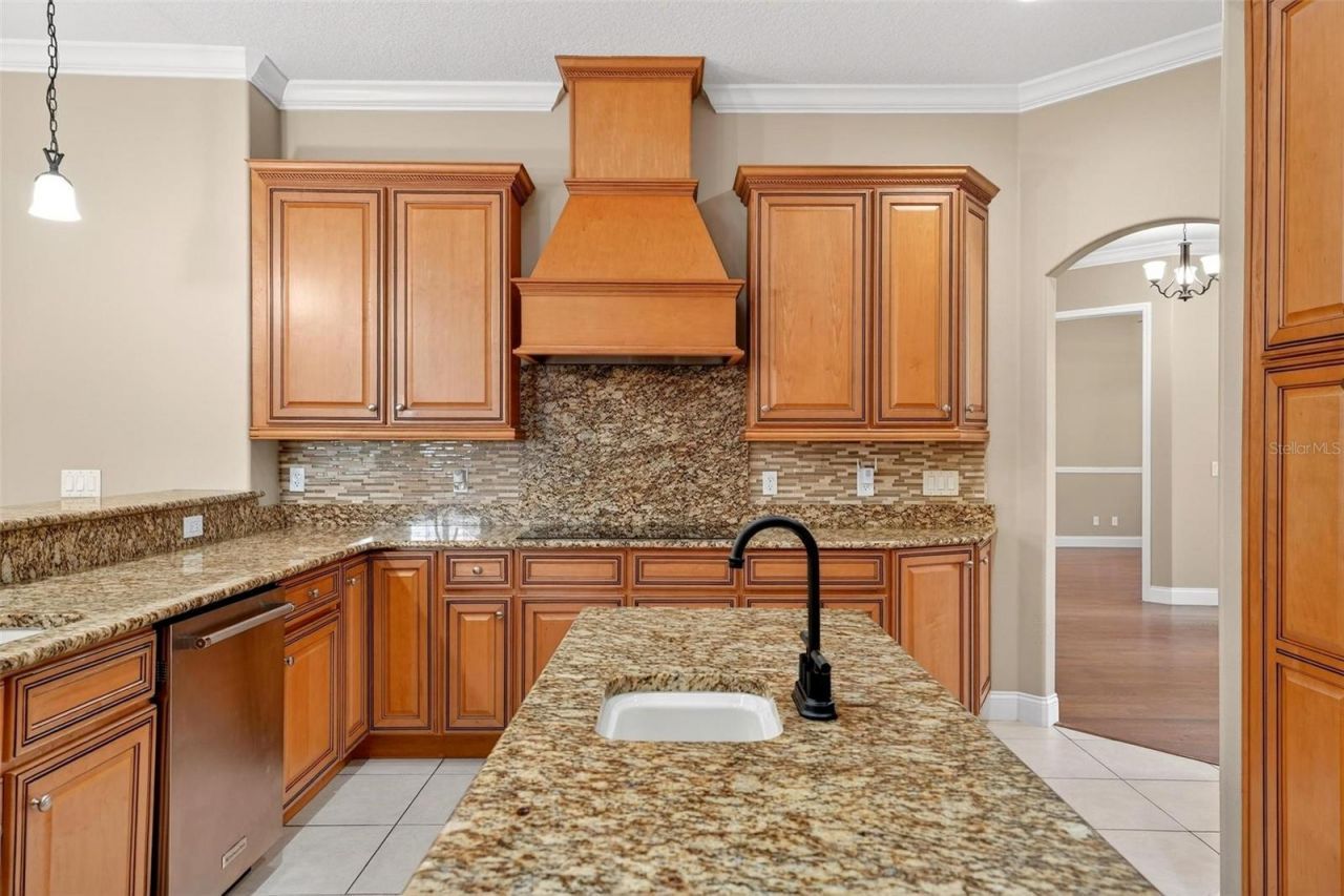 4520 Claire Rose Court, Mount Dora, FL 32757 Photo
