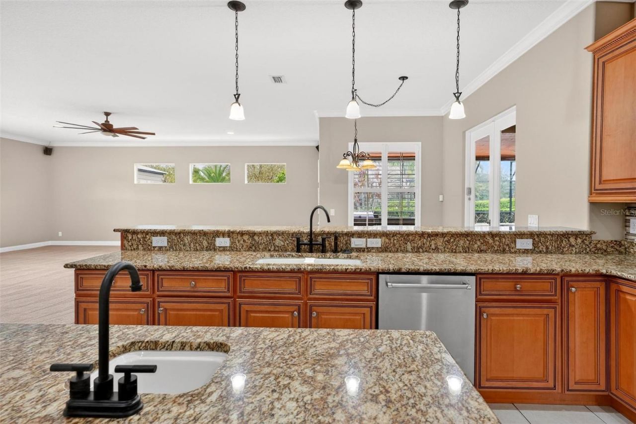 4520 Claire Rose Court, Mount Dora, FL 32757 Photo