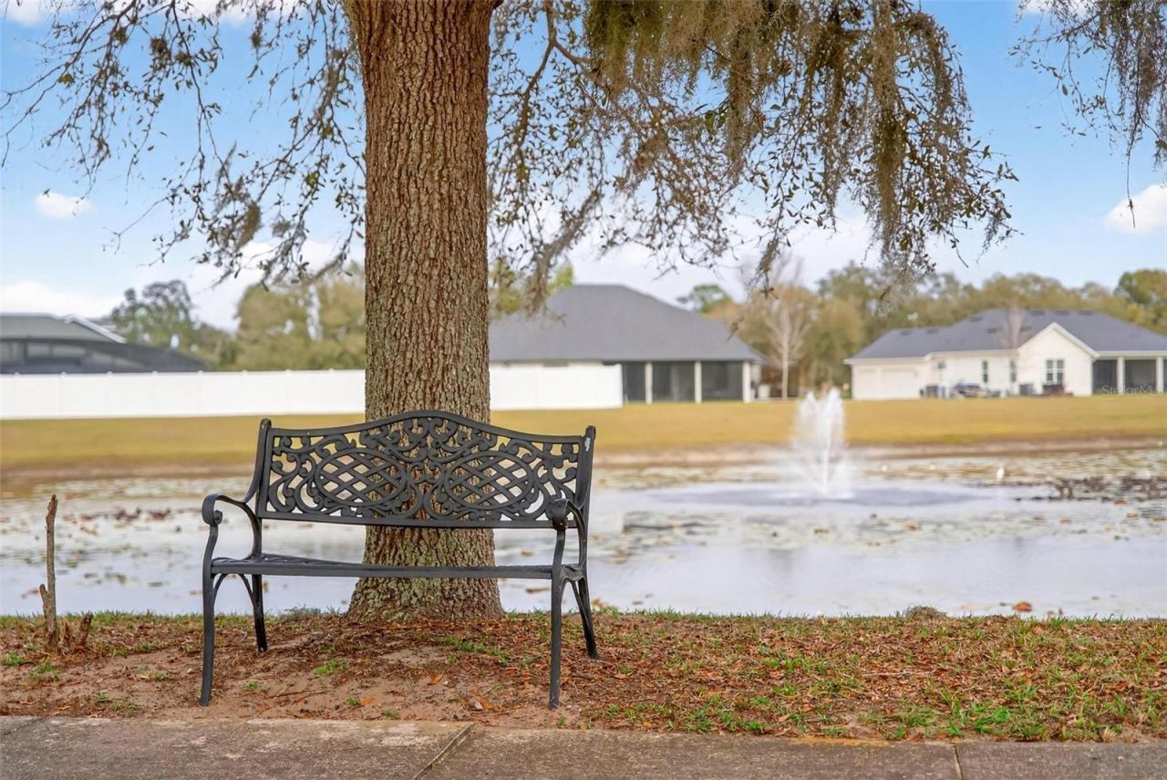 4520 Claire Rose Court, Mount Dora, FL 32757 Photo