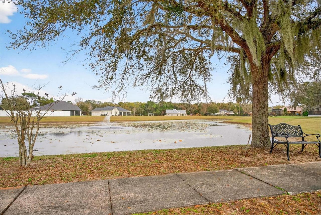4520 Claire Rose Court, Mount Dora, FL 32757 Photo