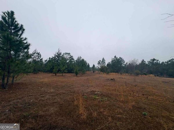 0 Hilltop Road, Baxley, GA 31513