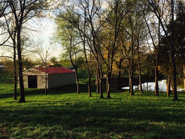 5954 Valley Rd, Springfield, TN 37172