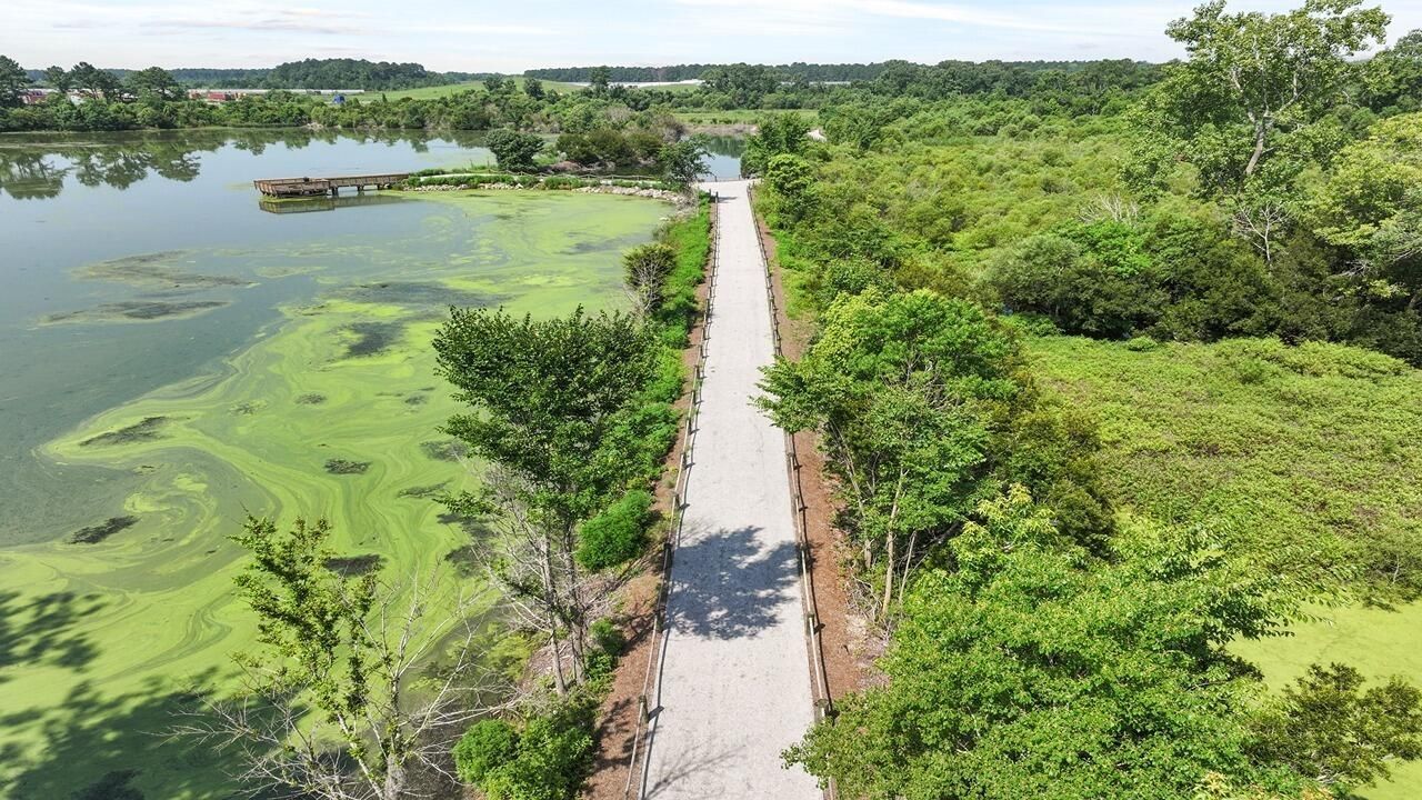 404 Tulip Poplar Drive Photo 11