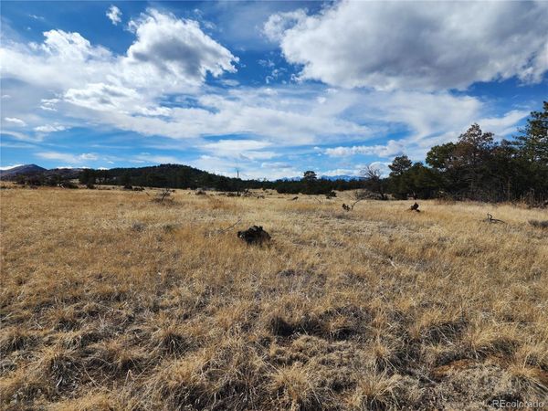 Pinon , Cotopaxi, CO 81223