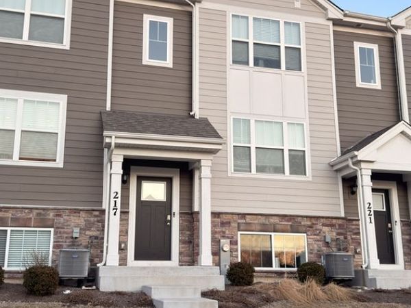 217 Goldenrod Drive, Elgin, IL 60124