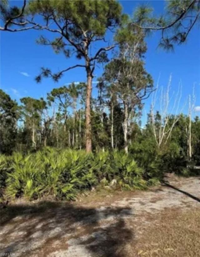 7000 Guava Ave, Bokeelia, FL 33922 Photo