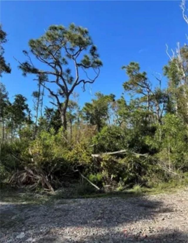 7000 Guava Ave, Bokeelia, FL 33922 Photo