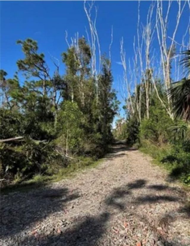 7000 Guava Ave, Bokeelia, FL 33922 Photo