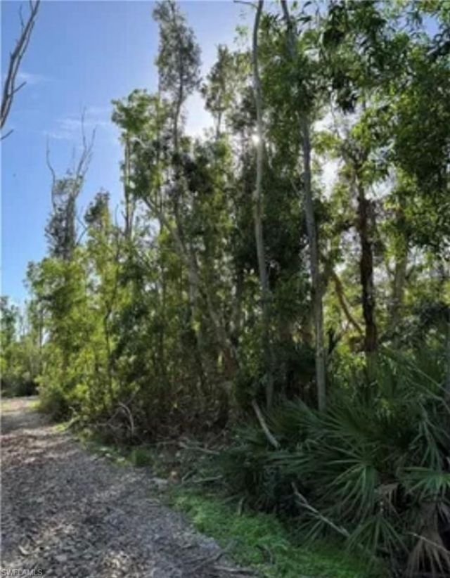 7000 Guava Ave, Bokeelia, FL 33922 Photo