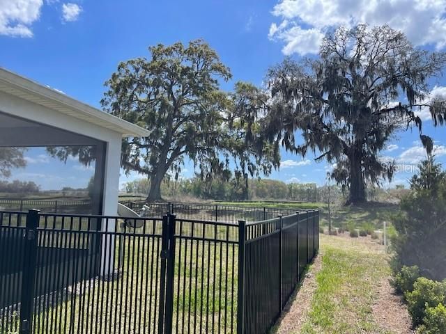 5220 NW 46th Lane Road, Ocala, FL 34482 Photo