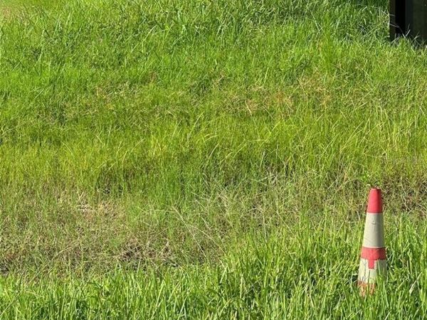 6813 LYMAN AVENUE , TAMPA, FL 33610