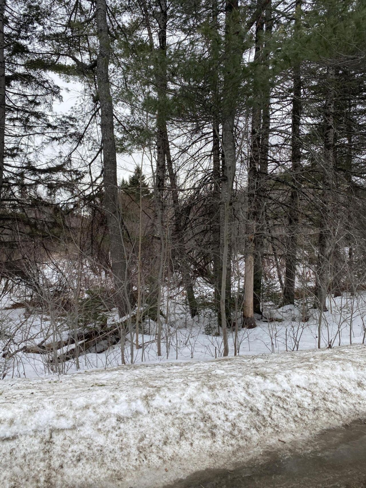 670 Canaan Road, Pittsfield, ME 04967 Main Photo