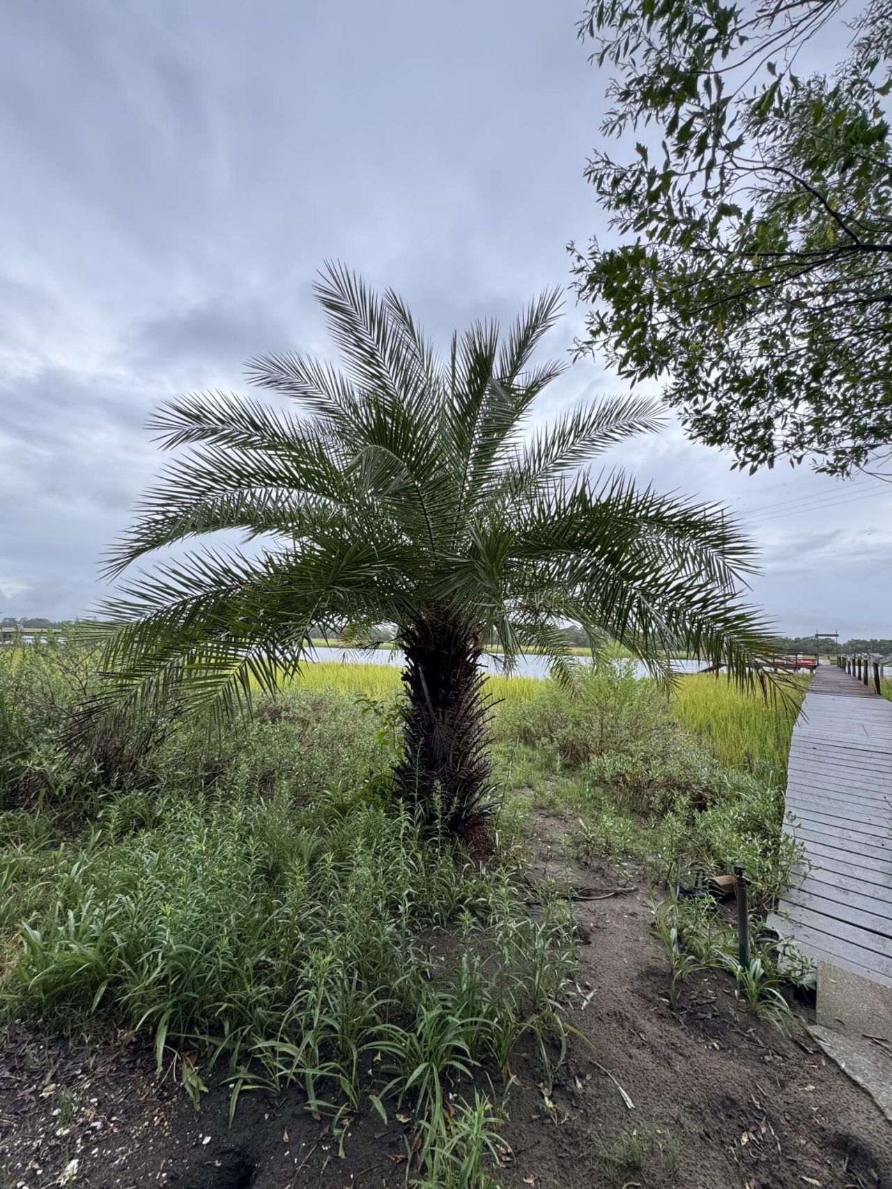 1205 Oak Harbor Boulevard Photo 7