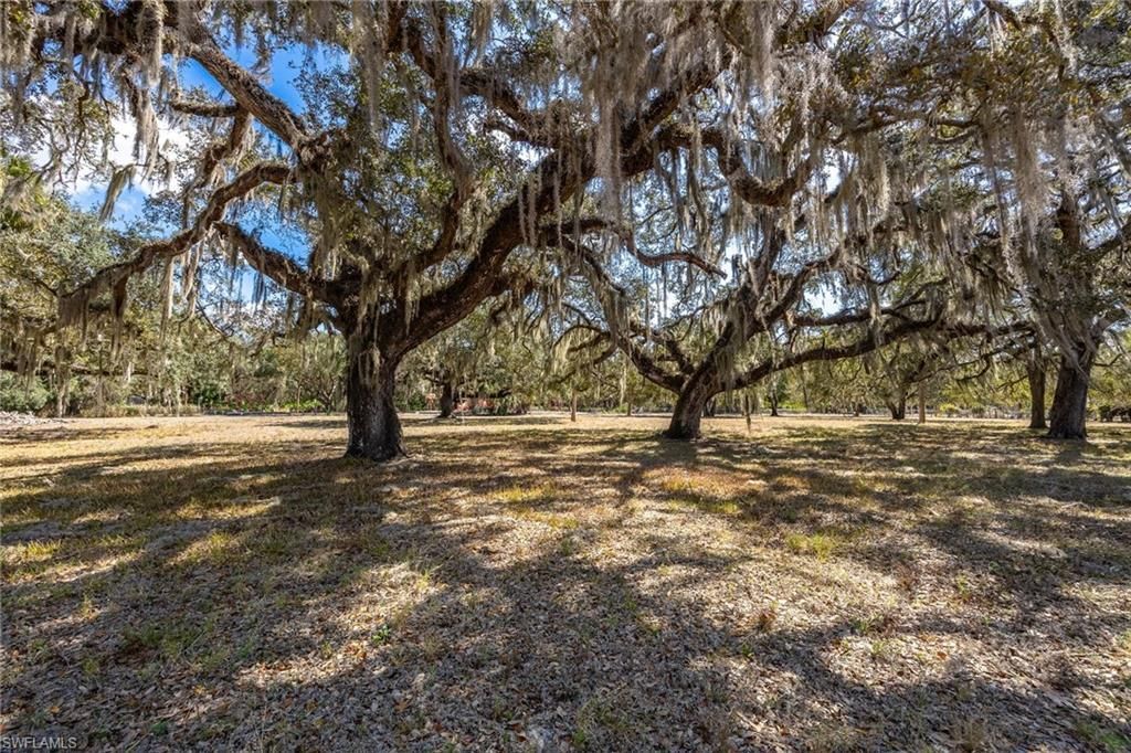 2032 Ortona Locks Rd , Moore Haven, FL 33471 Photo