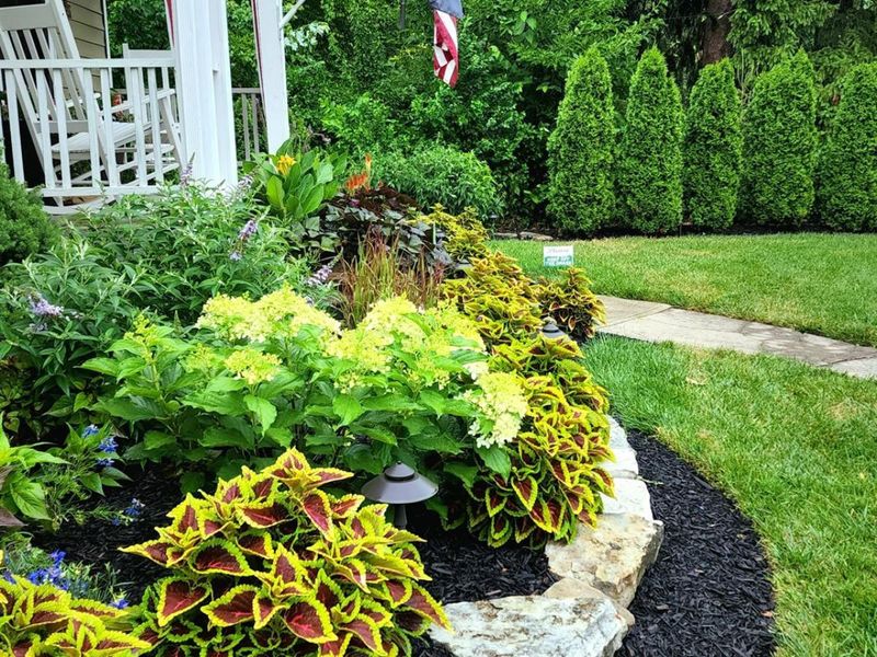 26 W Mills Avenue, Wyoming, OH 45215 Photo 4