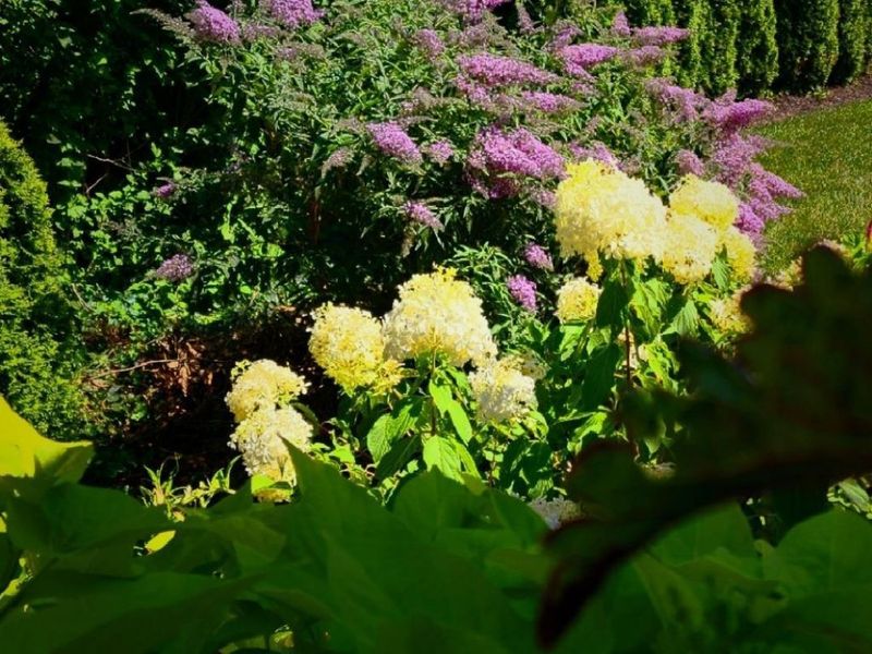 26 W Mills Avenue, Wyoming, OH 45215 Photo 5