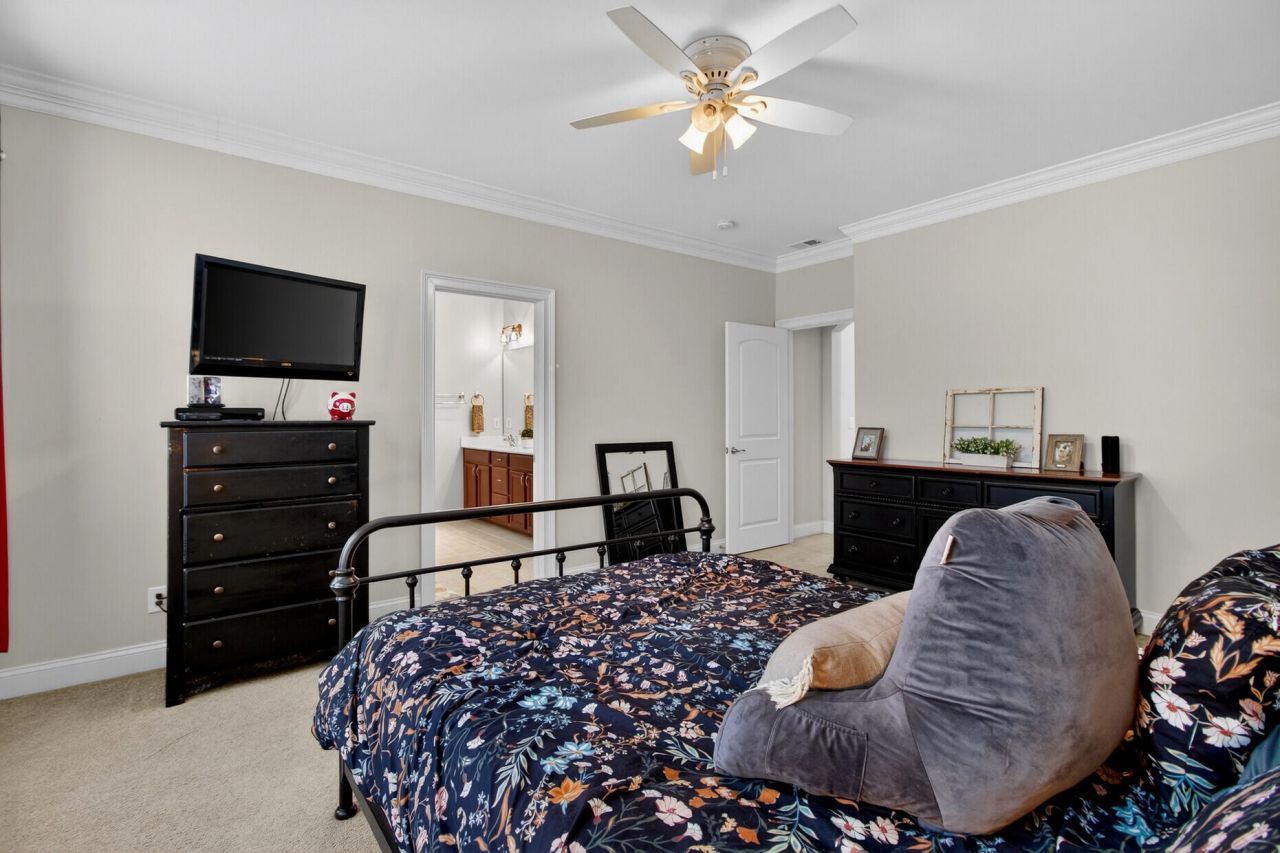 1737 Manassas Drive Photo 27