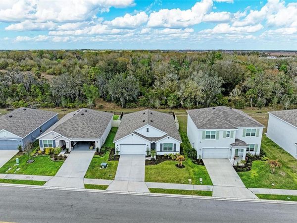 17250 WHEATBERRY BOULEVARD, PARRISH, FL 34219