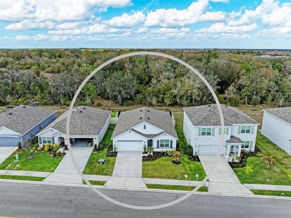 17250 WHEATBERRY BOULEVARD, PARRISH, FL 34219