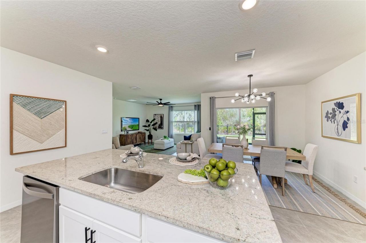 17250 Wheatberry Boulevard, Parrish, FL 34219 Photo