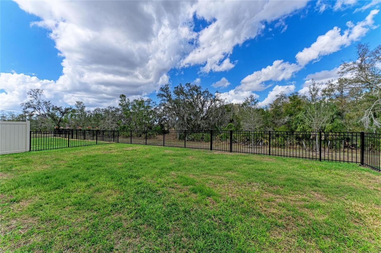 17250 Wheatberry Boulevard, Parrish, FL 34219 Photo