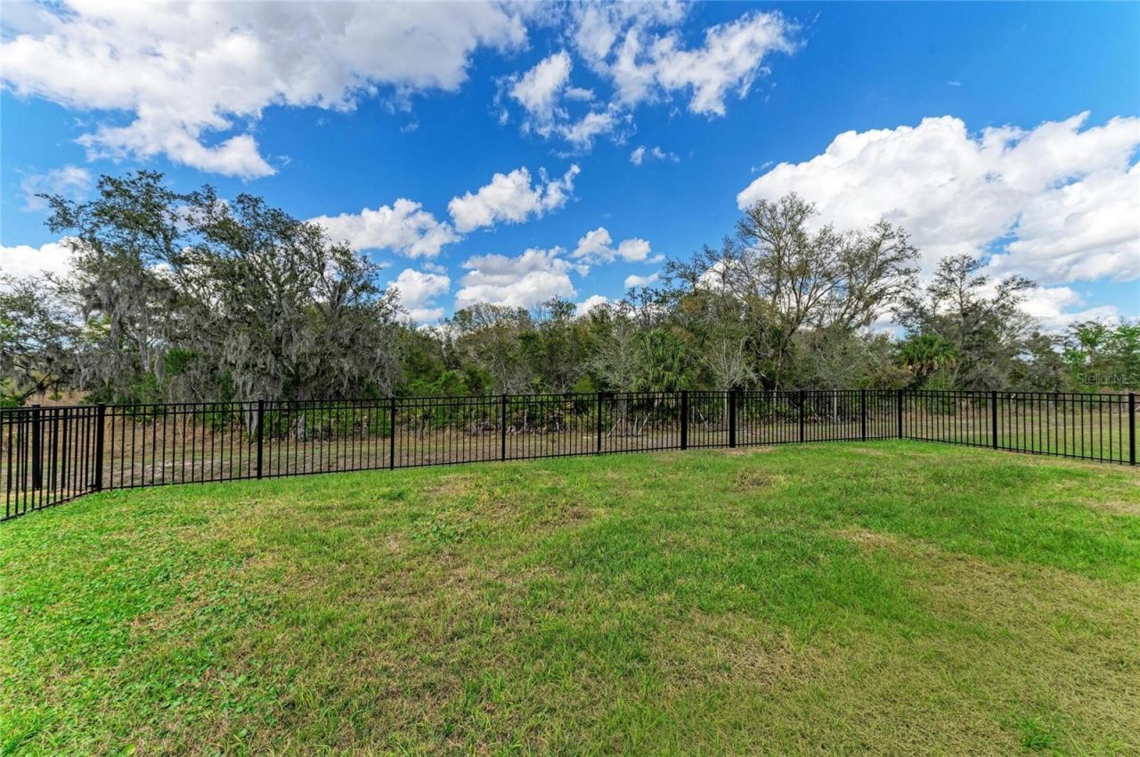 17250 Wheatberry Boulevard, Parrish, FL 34219 Photo