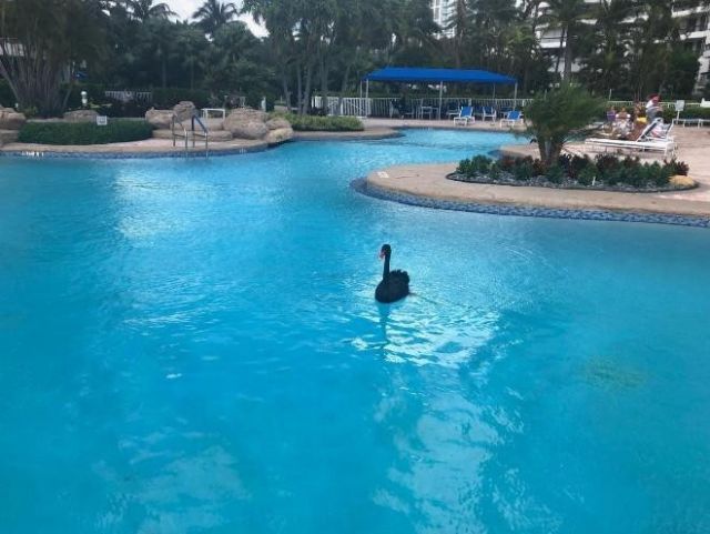 19195 NE 36th Court, Unit 2703, Aventura, FL 33180 Photo