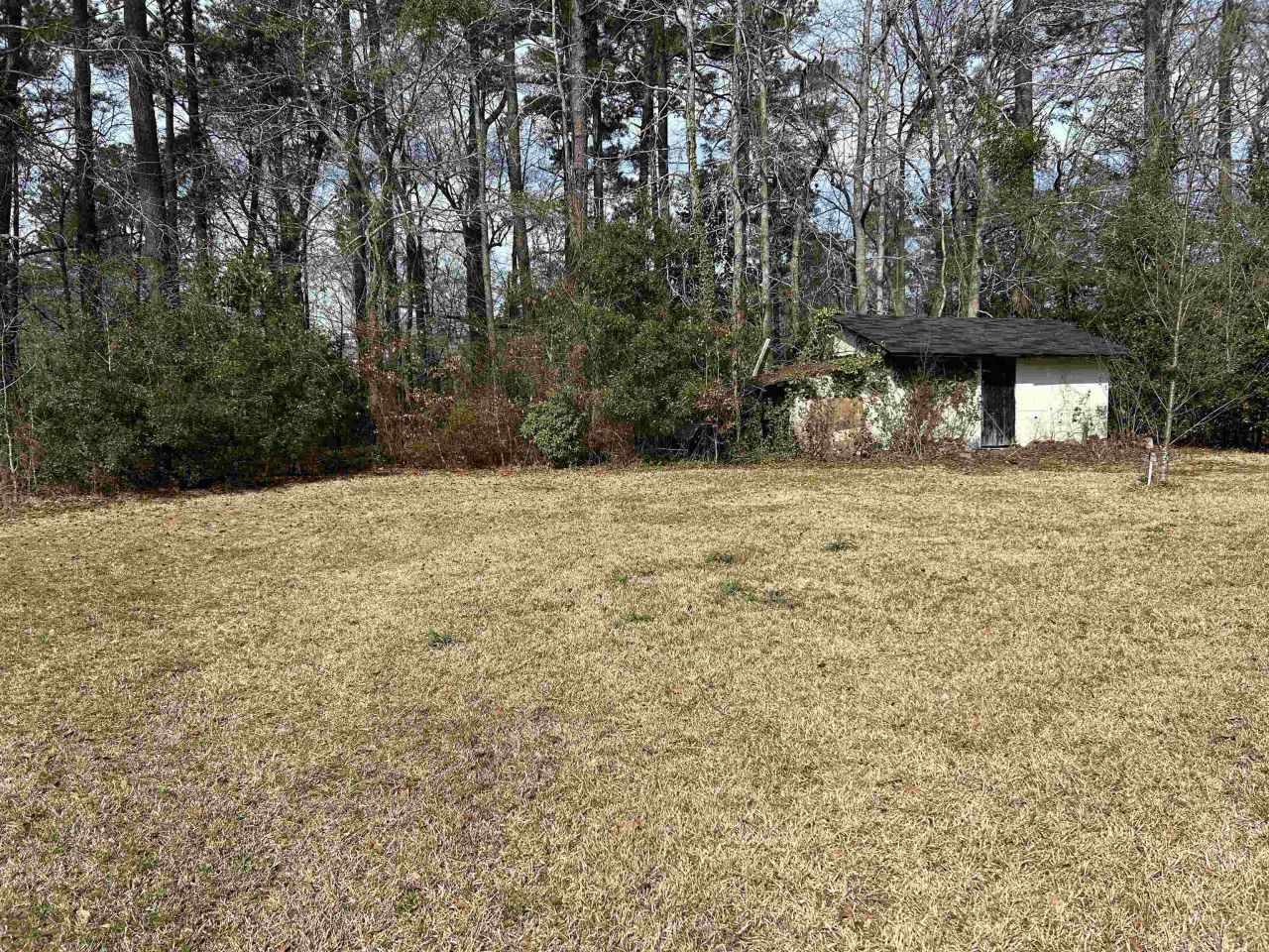 545 Hickory Ave. Photo 11