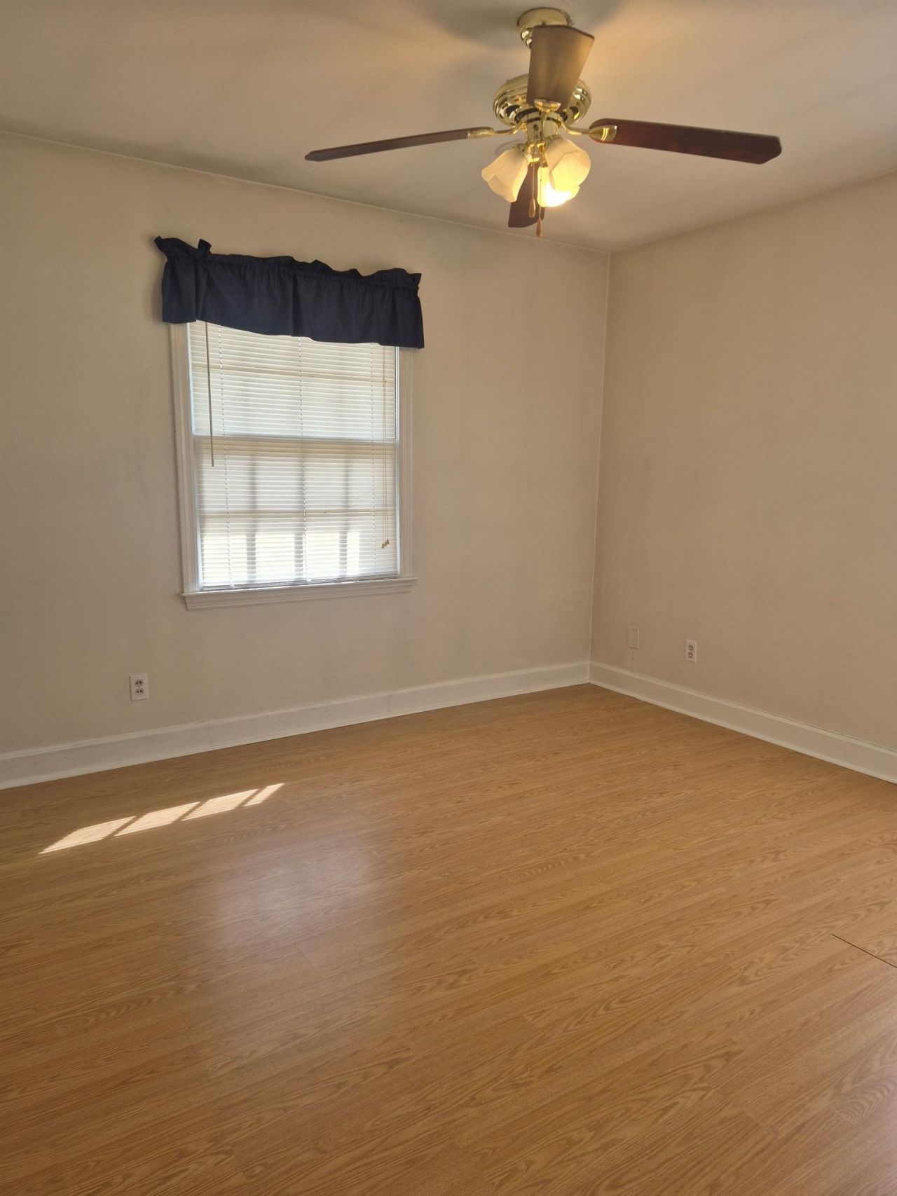 545 Hickory Ave. Photo 5