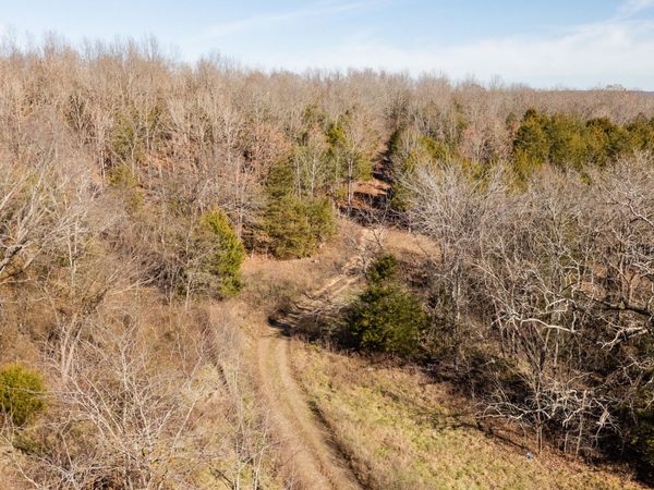 406 Horner Drive, Bradleyville, MO 65614