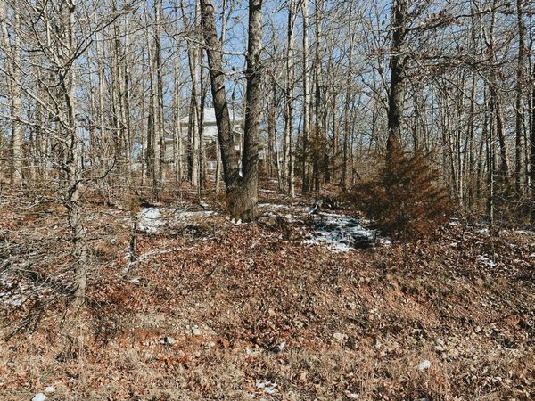 000 Lot 2 Block 13 Morrison Sub, West Plains, MO 65775