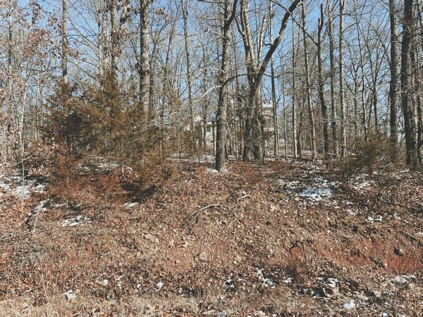 000 Lot 3 Block 13 Morrison Sub, West Plains, MO 65775