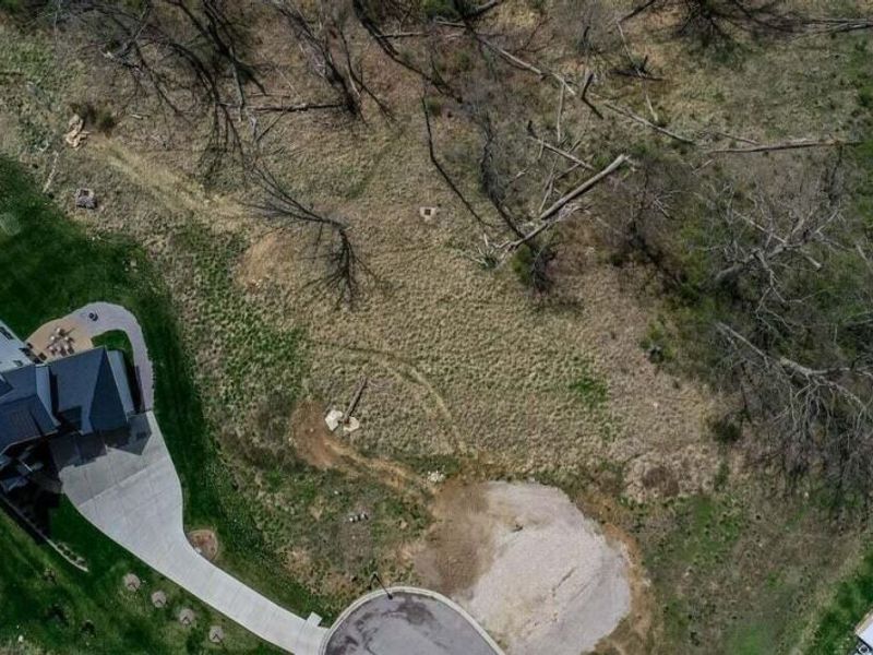 41 Floral Avenue, Fort Mitchell, KY 41017 Photo 6