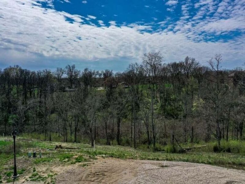 41 Floral Avenue, Fort Mitchell, KY 41017 Photo 9