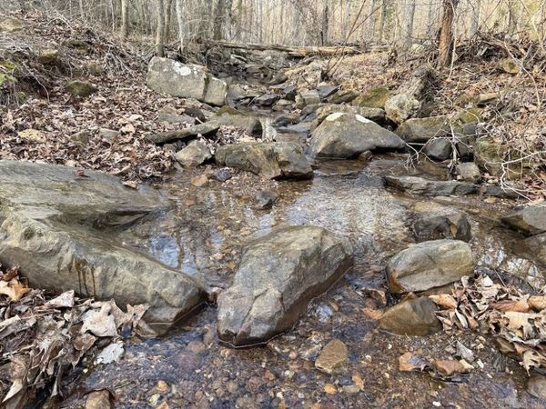 920 Monahan Road , Mountain View, AR 72560