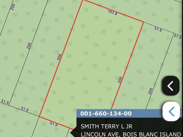 660134 Lincoln Ave, Bois Blanc, MI 49775