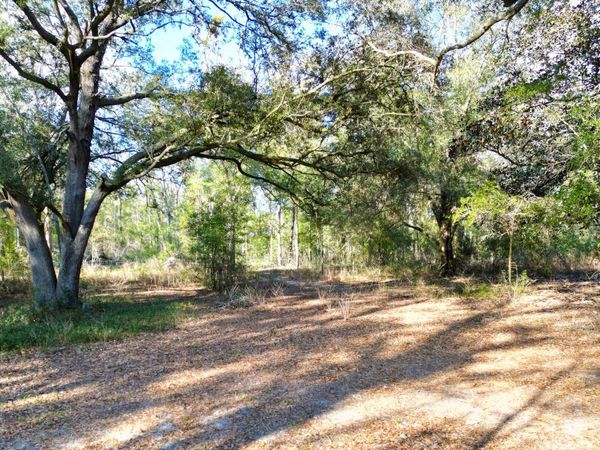 8951 188TH TERR, McAlpin, FL 32062