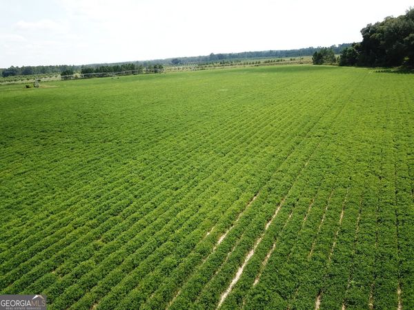 0 Highway 65, Camilla, GA 31730