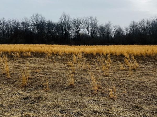 0001 4750 Road, Pembroke Twp, IL 60958