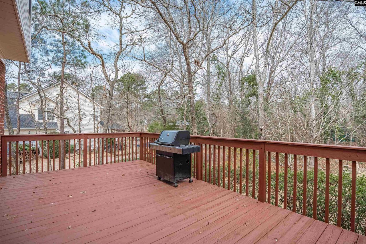 18 Blackhawk Court  Photo 41