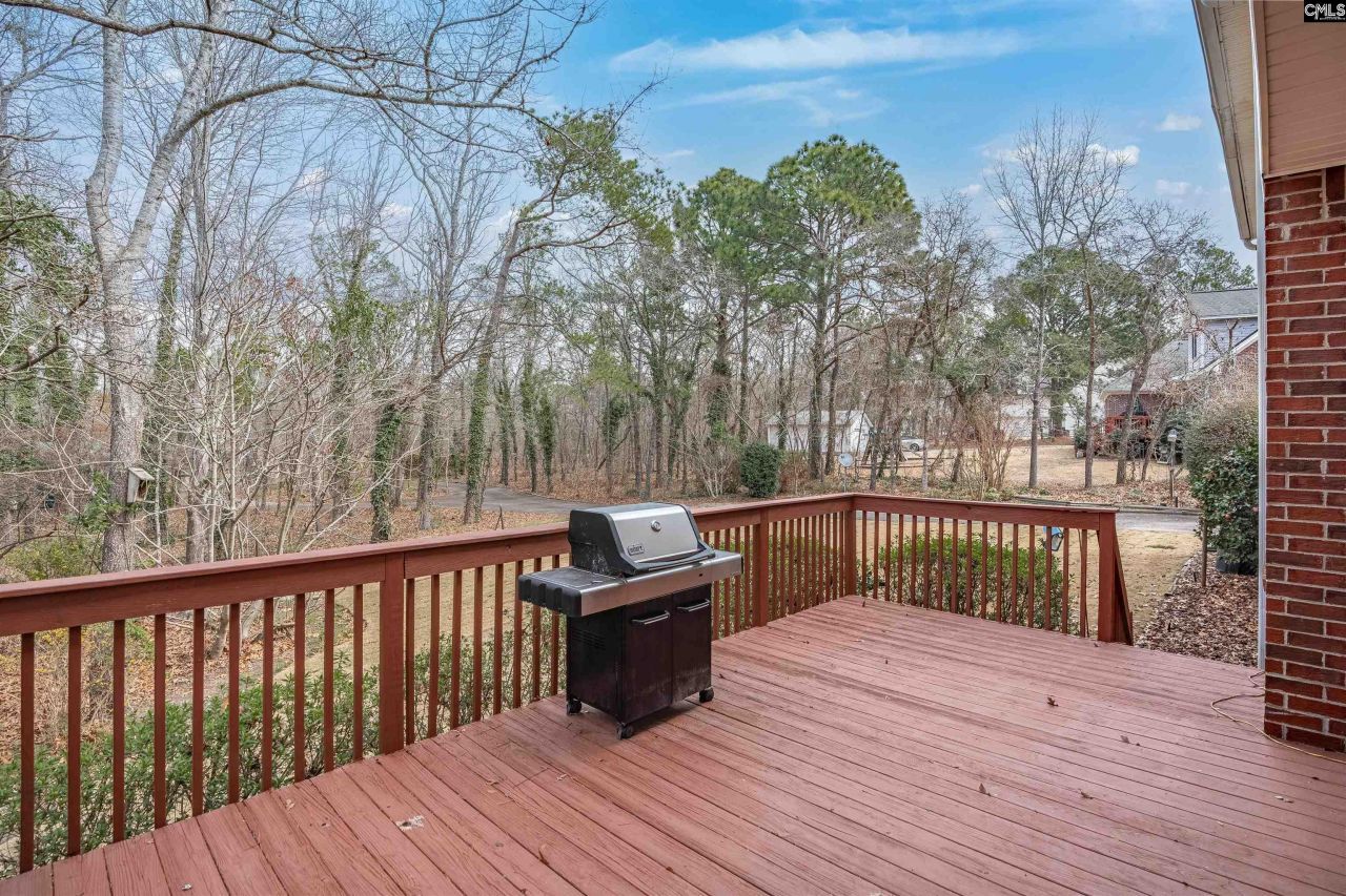 18 Blackhawk Court  Photo 42